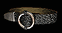 Razortail authentic Diablo II item artwork